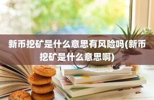 新币挖矿是什么意思有风险吗(新币挖矿是什么意思啊)