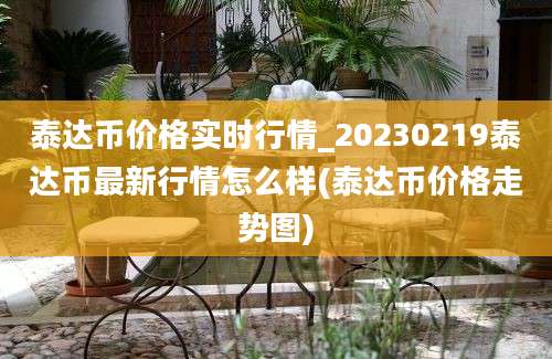 泰达币价格实时行情_20230219泰达币最新行情怎么样(泰达币价格走势图)