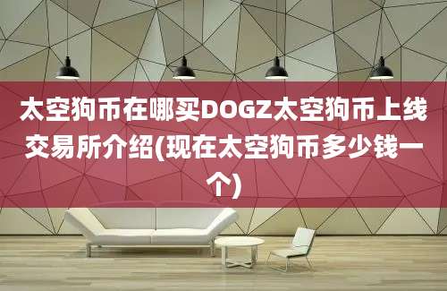 太空狗币在哪买DOGZ太空狗币上线交易所介绍(现在太空狗币多少钱一个)