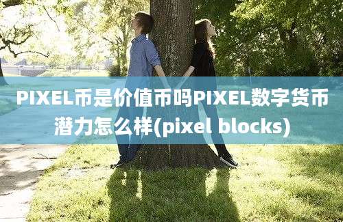 PIXEL币是价值币吗PIXEL数字货币潜力怎么样(pixel blocks)