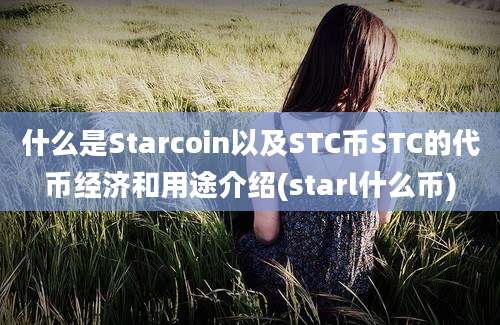 什么是Starcoin以及STC币STC的代币经济和用途介绍(starl什么币)