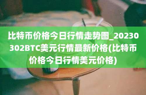 比特币价格今日行情走势图_20230302BTC美元行情最新价格(比特币价格今日行情美元价格)