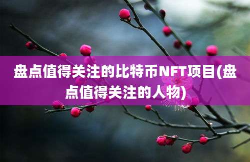 盘点值得关注的比特币NFT项目(盘点值得关注的人物)