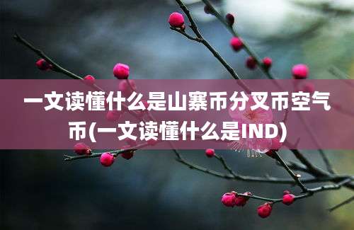 一文读懂什么是山寨币分叉币空气币(一文读懂什么是IND)