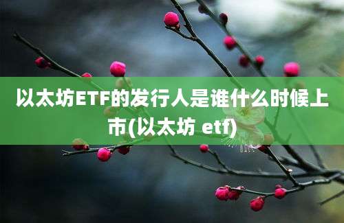 以太坊ETF的发行人是谁什么时候上市(以太坊 etf)