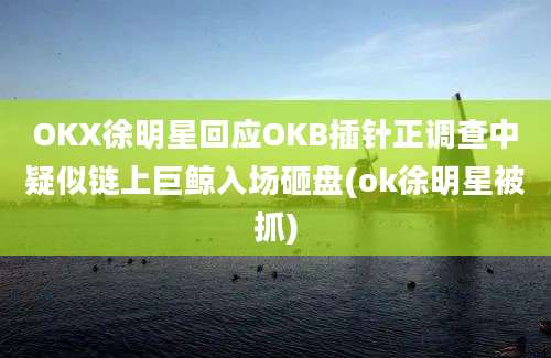 OKX徐明星回应OKB插针正调查中疑似链上巨鲸入场砸盘(ok徐明星被抓)