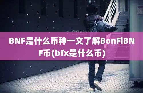 BNF是什么币种一文了解BonFiBNF币(bfx是什么币)