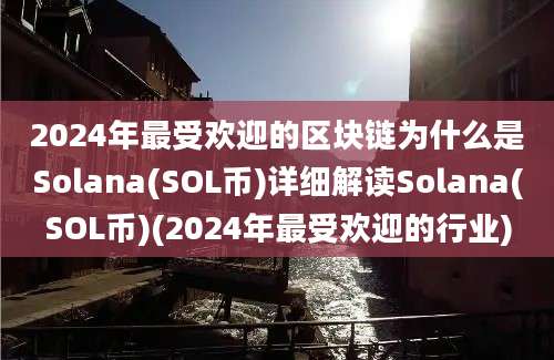 2024年最受欢迎的区块链为什么是Solana(SOL币)详细解读Solana(SOL币)(2024年最受欢迎的行业)