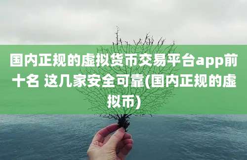 国内正规的虚拟货币交易平台app前十名 这几家安全可靠(国内正规的虚拟币)