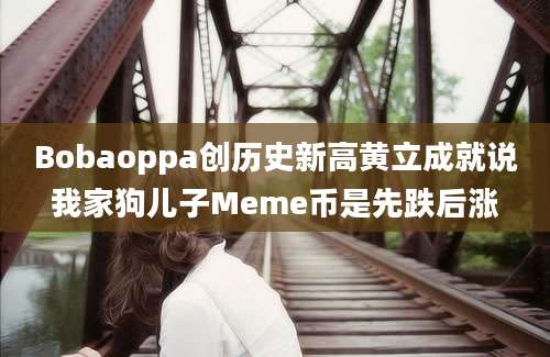 Bobaoppa创历史新高黄立成就说我家狗儿子Meme币是先跌后涨