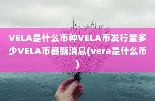 VELA是什么币种VELA币发行量多少VELA币最新消息(vera是什么币)