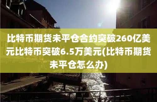 比特币期货未平仓合约突破260亿美元比特币突破6.5万美元(比特币期货未平仓怎么办)