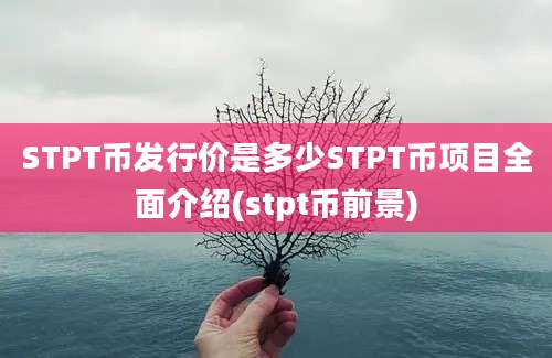 STPT币发行价是多少STPT币项目全面介绍(stpt币前景)