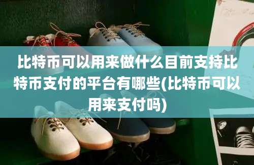 比特币可以用来做什么目前支持比特币支付的平台有哪些(比特币可以用来支付吗)