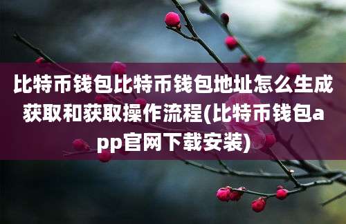 比特币钱包比特币钱包地址怎么生成获取和获取操作流程(比特币钱包app官网下载安装)