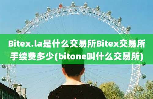 Bitex.la是什么交易所Bitex交易所手续费多少(bitone叫什么交易所)