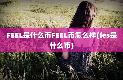 FEEL是什么币FEEL币怎么样(fes是什么币)