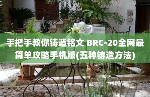 手把手教你铸造铭文 BRC-20全网最简单攻略手机版(五种铸造方法)