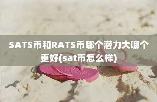 SATS币和RATS币哪个潜力大哪个更好(sat币怎么样)