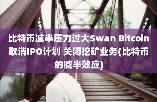 比特币减半压力过大Swan Bitcoin取消IPO计划 关闭挖矿业务(比特币的减半效应)