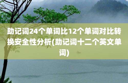 助记词24个单词比12个单词对比转换安全性分析(助记词十二个英文单词)