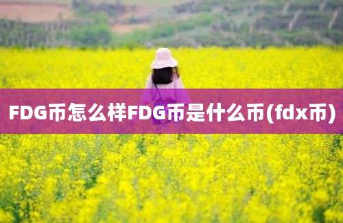 FDG币怎么样FDG币是什么币(fdx币)