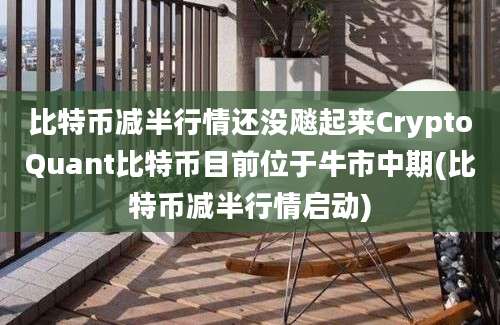 比特币减半行情还没飚起来CryptoQuant比特币目前位于牛市中期(比特币减半行情启动)