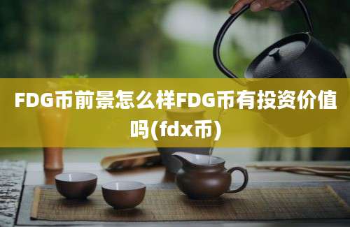 FDG币前景怎么样FDG币有投资价值吗(fdx币)