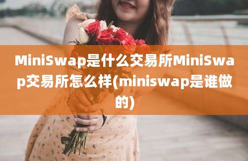 MiniSwap是什么交易所MiniSwap交易所怎么样(miniswap是谁做的)