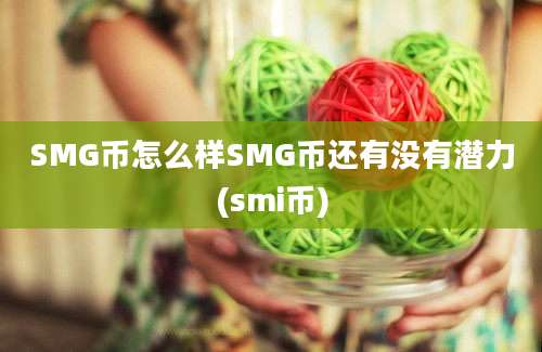 SMG币怎么样SMG币还有没有潜力(smi币)