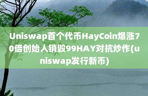 Uniswap首个代币HayCoin爆涨70倍创始人销毁99HAY对抗炒作(uniswap发行新币)