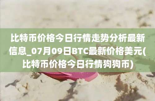 比特币价格今日行情走势分析最新信息_07月09日BTC最新价格美元(比特币价格今日行情狗狗币)