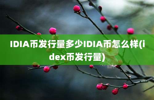 IDIA币发行量多少IDIA币怎么样(idex币发行量)