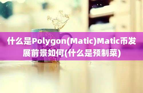 什么是Polygon(Matic)Matic币发展前景如何(什么是预制菜)