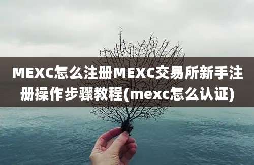 MEXC怎么注册MEXC交易所新手注册操作步骤教程(mexc怎么认证)