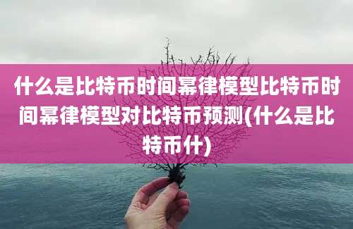 什么是比特币时间幂律模型比特币时间幂律模型对比特币预测(什么是比特币什)