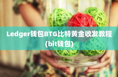 Ledger钱包BTG比特黄金收发教程(bit钱包)