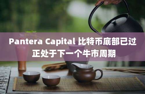 Pantera Capital 比特币底部已过 正处于下一个牛市周期