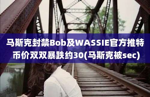 马斯克封禁Bob及WASSIE官方推特 币价双双暴跌约30(马斯克被sec)