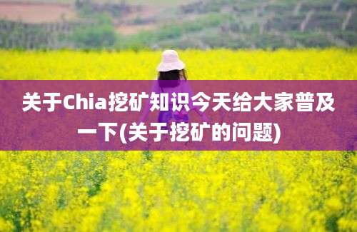 关于Chia挖矿知识今天给大家普及一下(关于挖矿的问题)