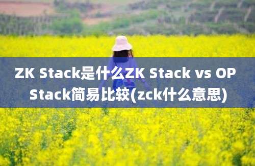 ZK Stack是什么ZK Stack vs OP Stack简易比较(zck什么意思)