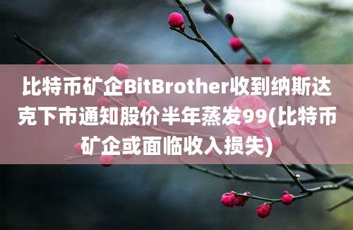 比特币矿企BitBrother收到纳斯达克下市通知股价半年蒸发99(比特币矿企或面临收入损失)