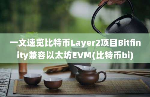 一文速览比特币Layer2项目Bitfinity兼容以太坊EVM(比特币bi)