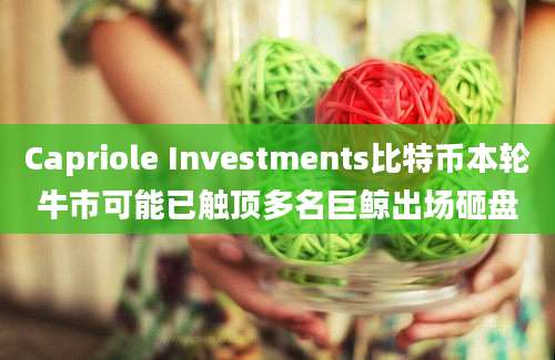 Capriole Investments比特币本轮牛市可能已触顶多名巨鲸出场砸盘