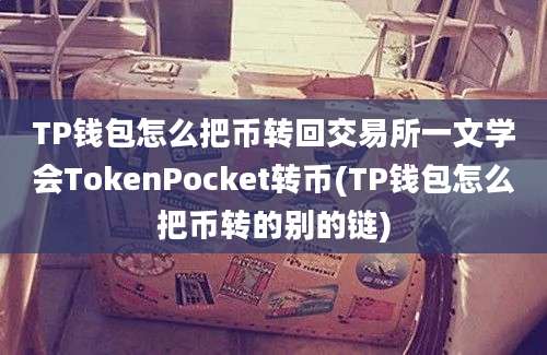 TP钱包怎么把币转回交易所一文学会TokenPocket转币(TP钱包怎么把币转的别的链)