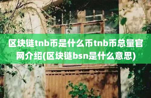 区块链tnb币是什么币tnb币总量官网介绍(区块链bsn是什么意思)