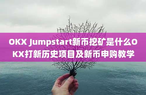 OKX Jumpstart新币挖矿是什么OKX打新历史项目及新币申购教学