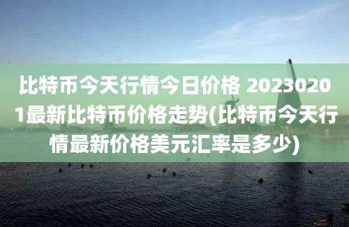 比特币今天行情今日价格 20230201最新比特币价格走势(比特币今天行情最新价格美元汇率是多少)