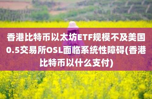 香港比特币以太坊ETF规模不及美国0.5交易所OSL面临系统性障碍(香港比特币以什么支付)