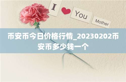 币安币今日价格行情_20230202币安币多少钱一个